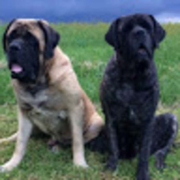 Meet your Posher, Kay - Picture 1 of 1